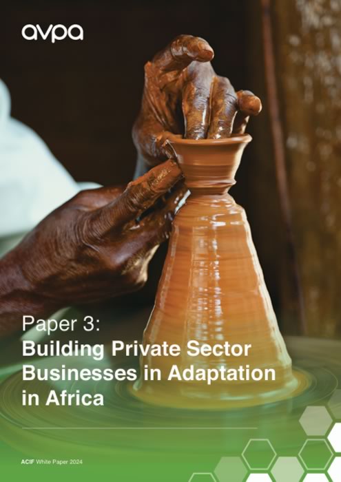 Building Private Sector Businesses in Adaptation in Africa