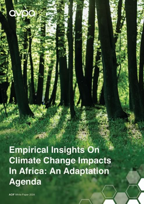 Empirical Insights on Climate Change Impacts in Africa: An Adaptation Agenda